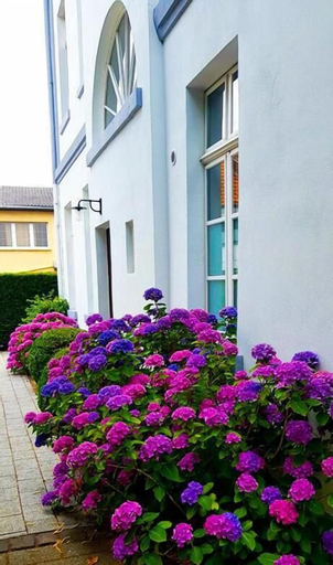 Exterior & Views 2, Hotel ZweiLinden, Rhein-Sieg-Kreis