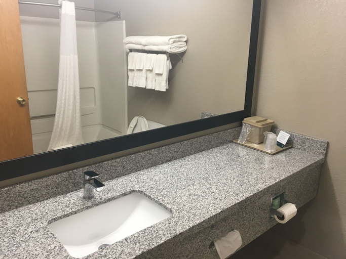 Bathroom 4, Quality Inn Nashville - Bloomington, Brown