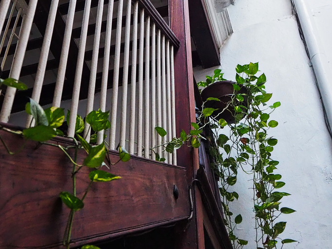 Exterior & Views 2, Zanzibar Coffee House, Mjini