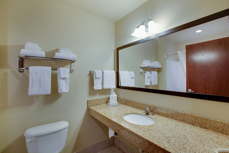 Bathroom 4, Cobblestone Inn & Suites - Durand, Pepin