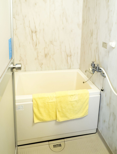 Bathroom 4, Hikone Station Hotel, Hikone