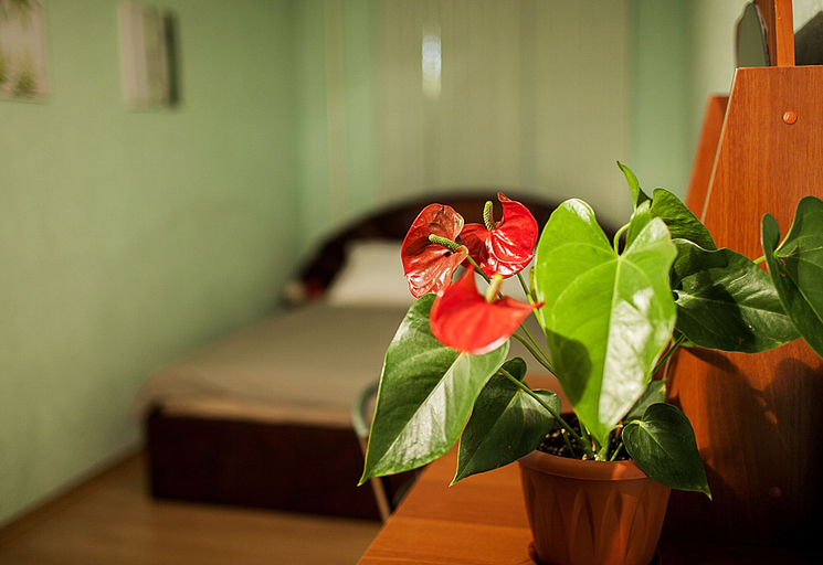 Bedroom 2, Funny Dolphins Apartments Krasnoselskaya, North-Eastern