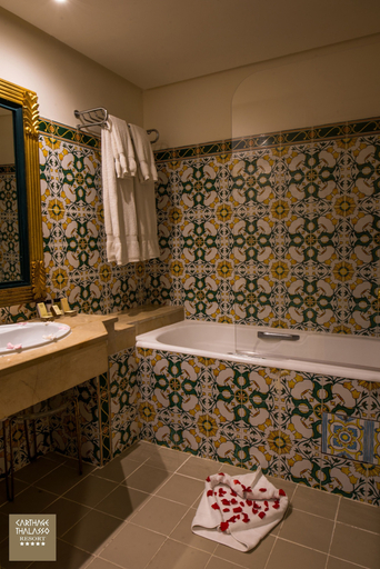 Bathroom 5, Carthage Thalasso Resort, La Marsa