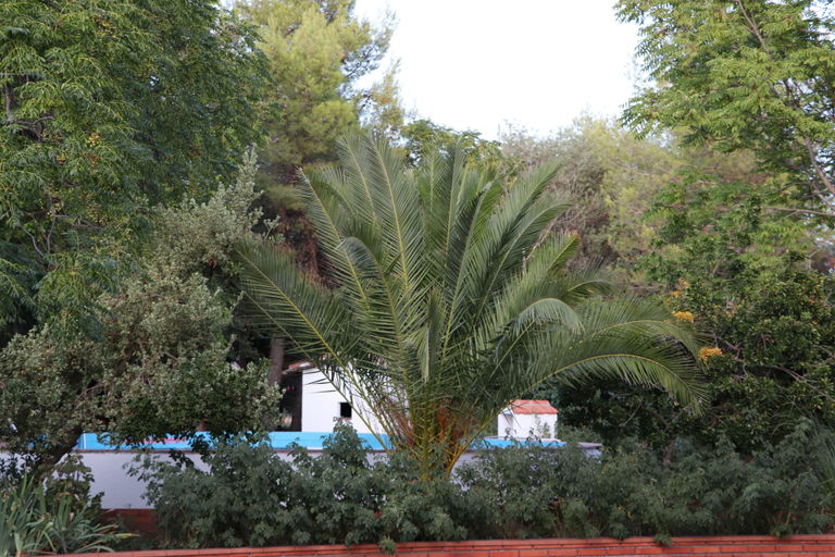 Others 5, Agroturismo la finka, Ciudad Real