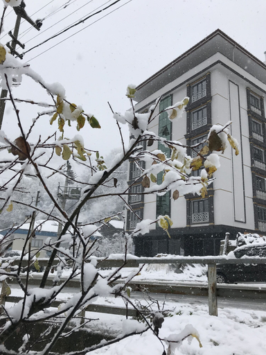 Exterior & Views 2, Golden Inn Hotel Uzungol, Çaykara