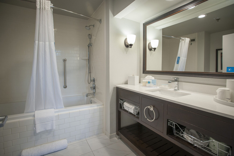 Bathroom 4, Hampton Inn & Suites New Orleans Convention Center, Orleans