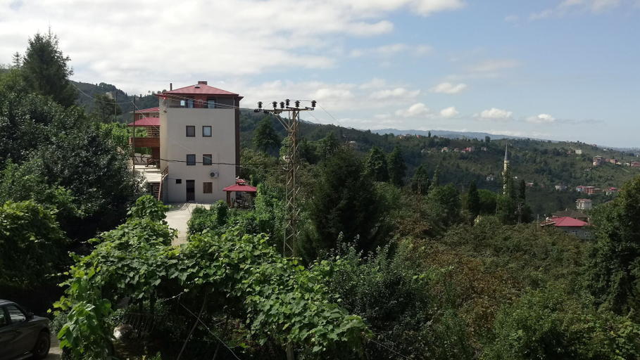 Exterior & Views