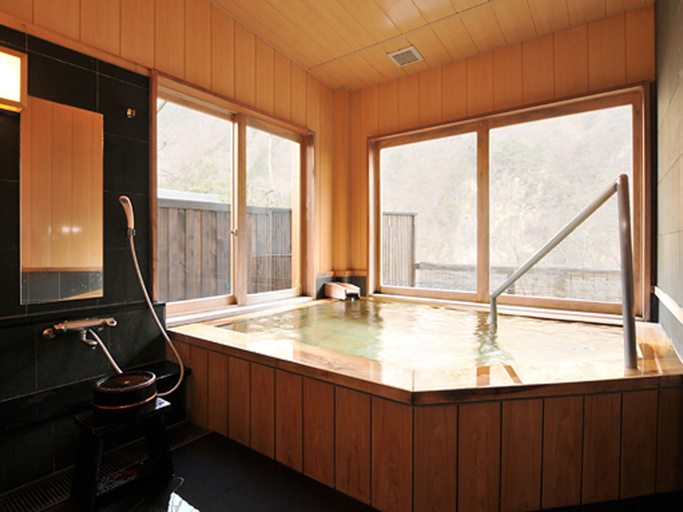 Bathroom 5, Ginshotei Awashima, Numata