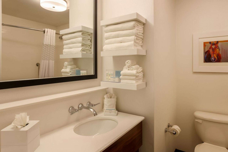 Bathroom 4, Hampton Inn Memphis-Southwind, Shelby