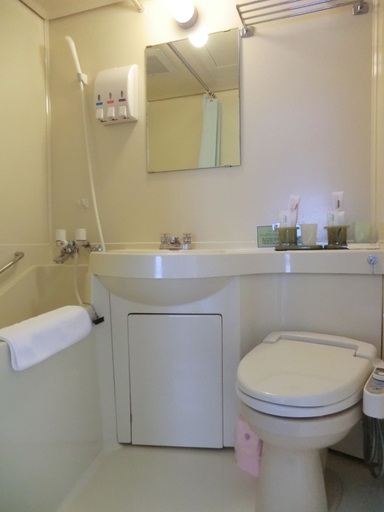 Bathroom 3, Hotel Halftime, Nara