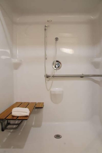 Bathroom 4, Comfort Suites Downtown Carlisle, Cumberland