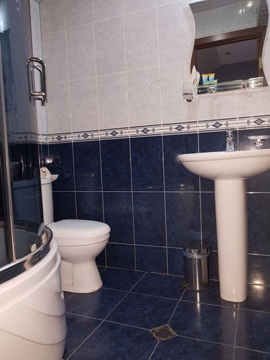 Bathroom 3, Hotel Danisimo, Tbilisi