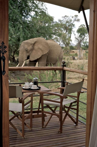 Others 1, Ashnil Samburu Camp, Isiolo North