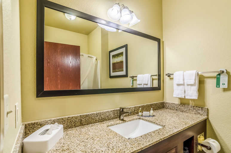 Bathroom 3, Cobblestone Hotel & Suites - McCook, Red Willow