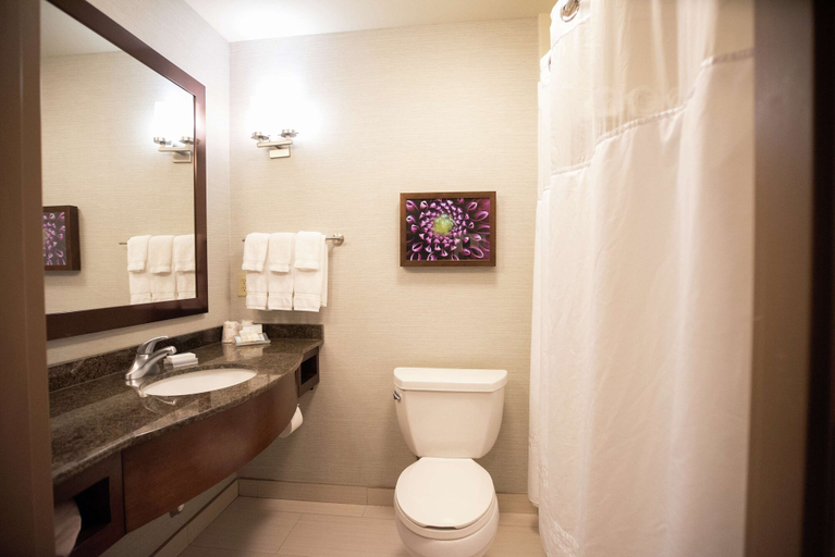 Bathroom 4, Hilton Garden Inn Covington, Saint Tammany