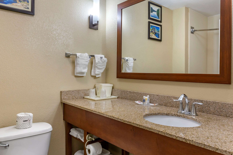 Bathroom 4, Comfort Suites Clayton - Garner, Johnston