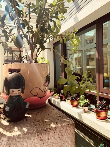 Others 5, Penghu Sweety Home, Penghu