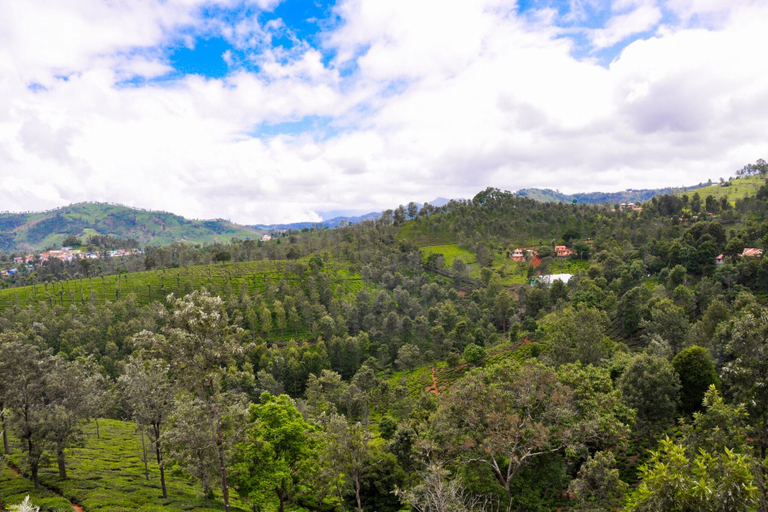 Others 5, Sunvalley Homestay, The Nilgiris