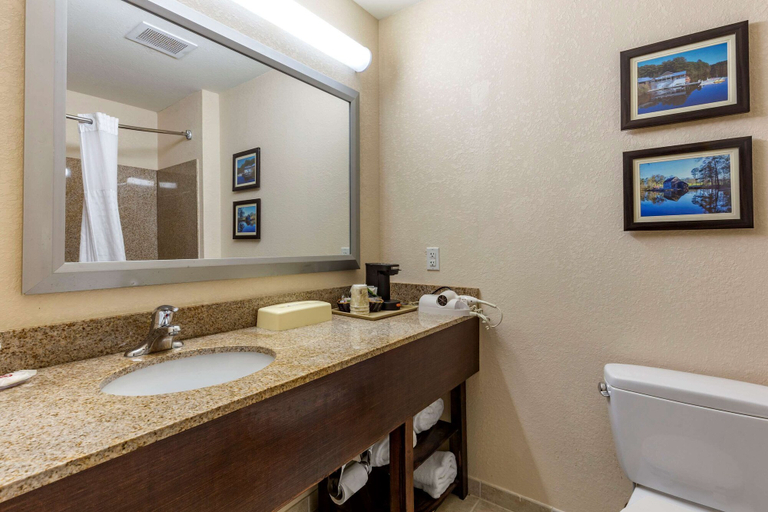 Bathroom 3, Comfort Inn Smithfield near I-95, Johnston