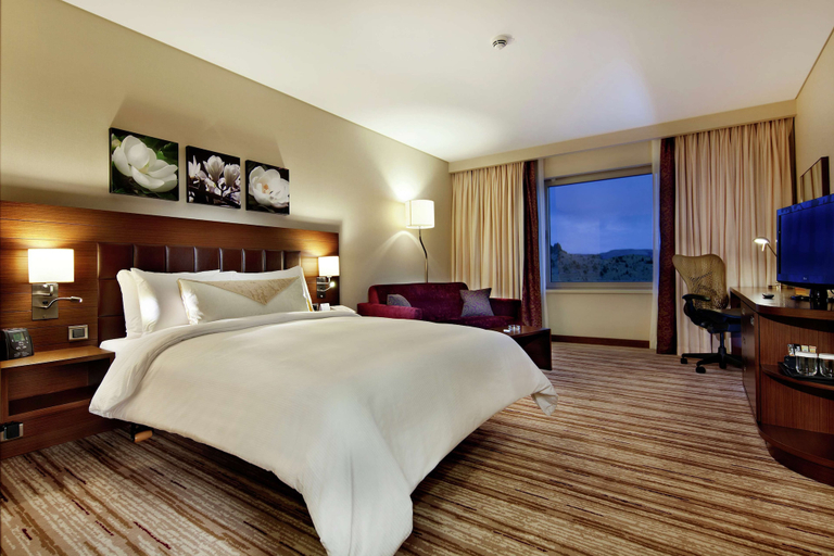 Bedroom 4, Hilton Garden Inn Mardin, Kızıltepe