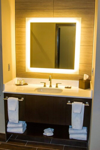 Bathroom 5, River Bend Casino & Hotel, Ottawa