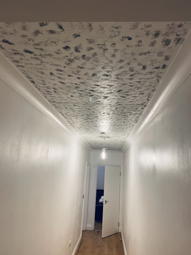 Others 4, 2-bed Apartment, London