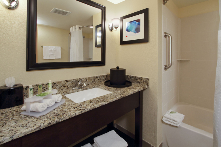 Bathroom 2, Holiday Inn Express AUGUSTA DOWNTOWN by IHG, Richmond