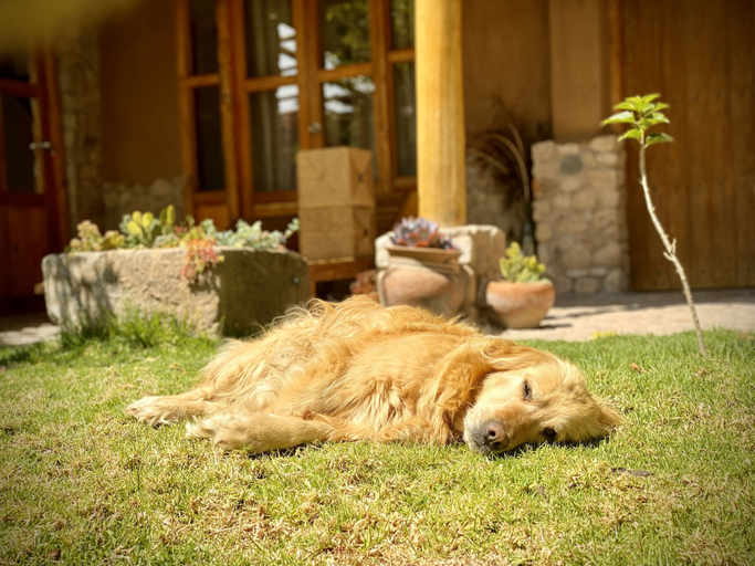 Others 5, URUHome Cusco, Urubamba