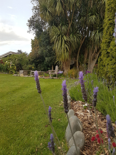 Others 5, Lancewood Lodge, Rangitikei