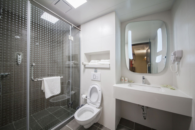 Bathroom 4, Ibis Nantong Middle Renmin Rd Hotel, Nantong