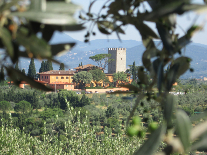 Exterior & Views 2, Agriturismo Il Colle, Florence