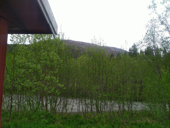 Others 5, Holandsvika Bomiljø, Vefsn
