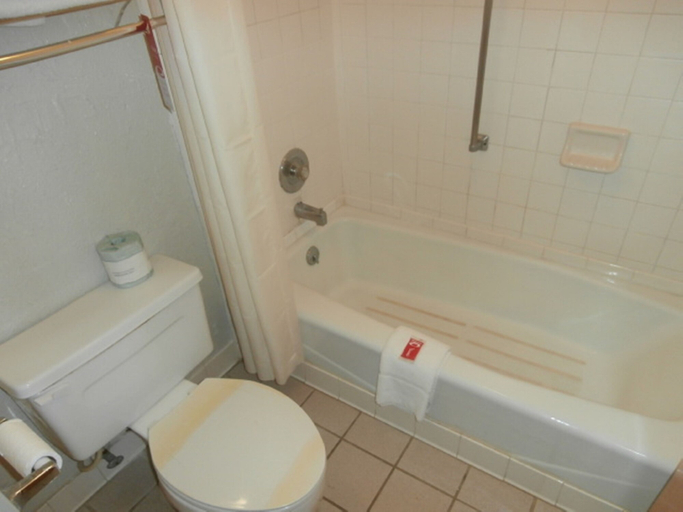 Bathroom 4, Econo Lodge Inn & Suites Conference Center, Laurens