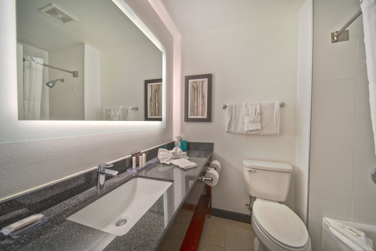 Bathroom 5, Wingate by Wyndham - Round Rock, Williamson