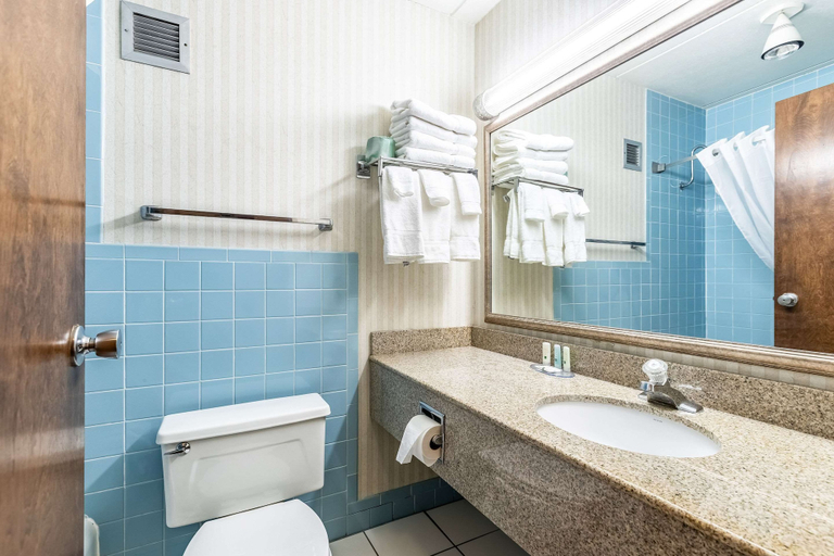 Bathroom 4, Quality Inn & Suites Albert Lea, Freeborn