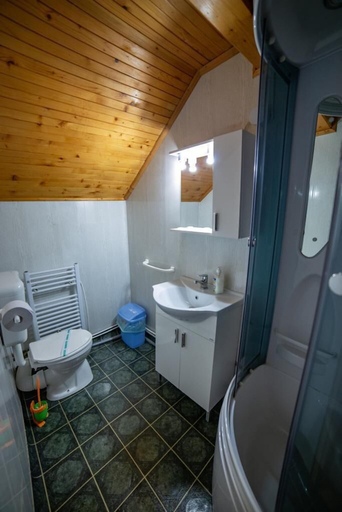Bathroom 3, Pensiunea Poiana Cristian, Brasov