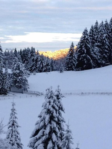Others 5, Bed & Breakfast Jungholz, Reutte