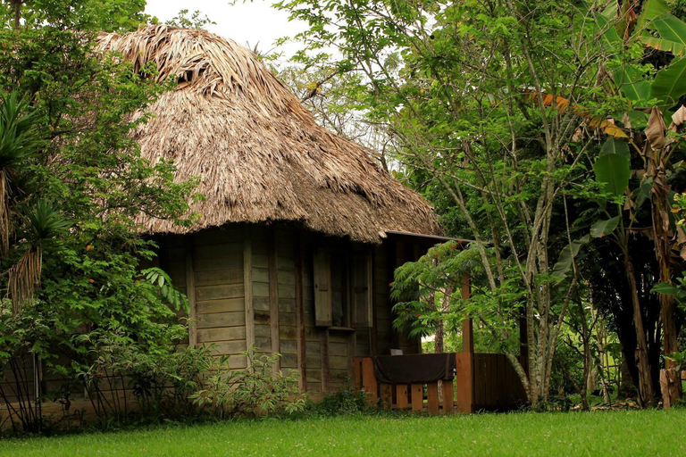 Others 4, Clarissa Falls Resort
