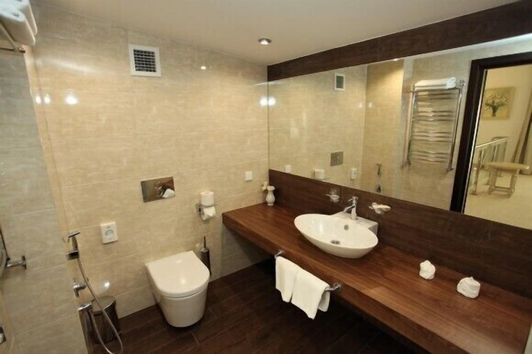 Bathroom 3, Park Drakino, Protvino