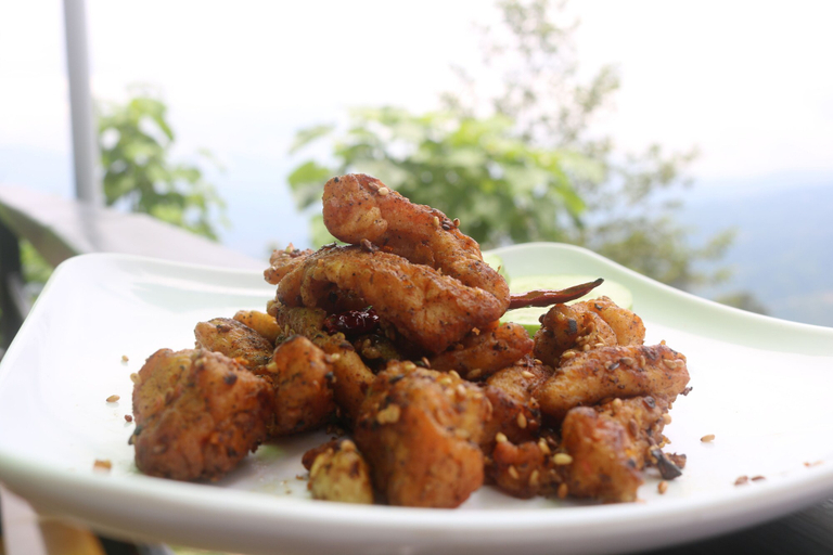 Food & Drinks 5, OP Village Resort, Bagmati