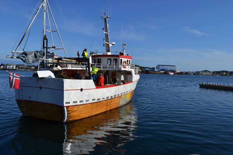 Others 5, Sjøstrand Rorbuer, Vestvågøy