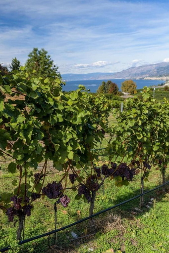 Others 5, Munson Mountain Estates, Okanagan-Similkameen