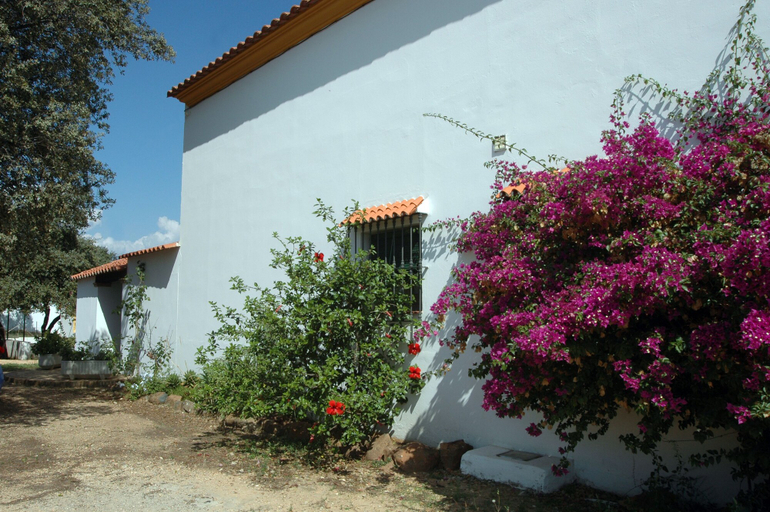 Exterior & Views 2, El Romerito, Huelva