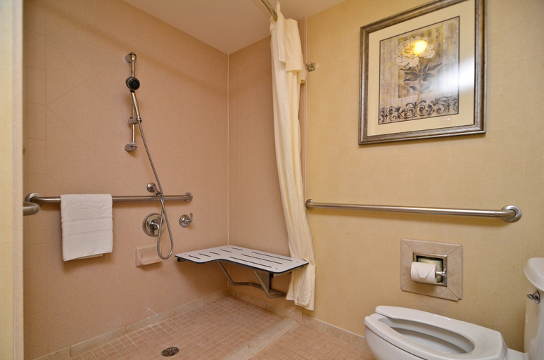 Bathroom 4, Homewood Suites by Hilton Dover, Strafford