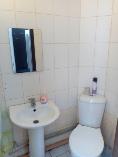 Bathroom 3, Uralskiy Teremok Hotel, Krasnodar gorsovet
