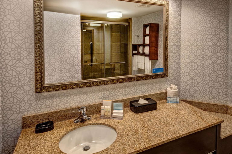 Bathroom 4, Hampton Inn Rocky Mount, Nash
