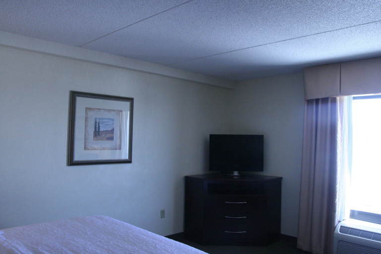 Bedroom 3, Hampton Inn & Suites Lino Lakes, Anoka