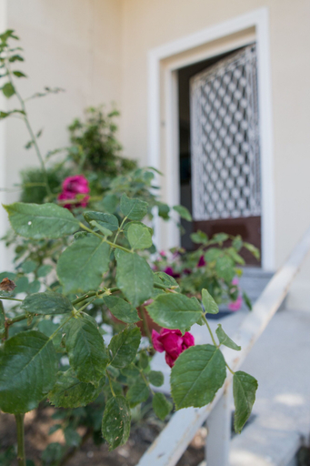 Others 3, Alexandra Apartments, Crete