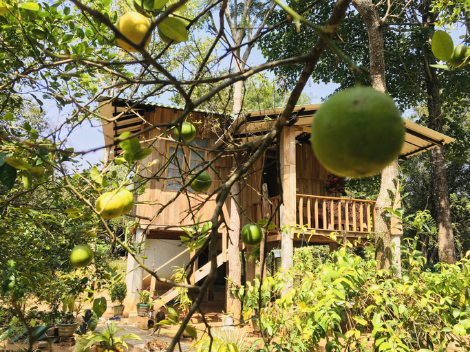 Others 5, Ruk Sewana Villa, Dambulla