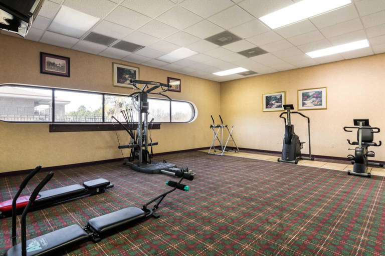 Others 5, Econo Lodge Inn & Suites Conference Center, Laurens